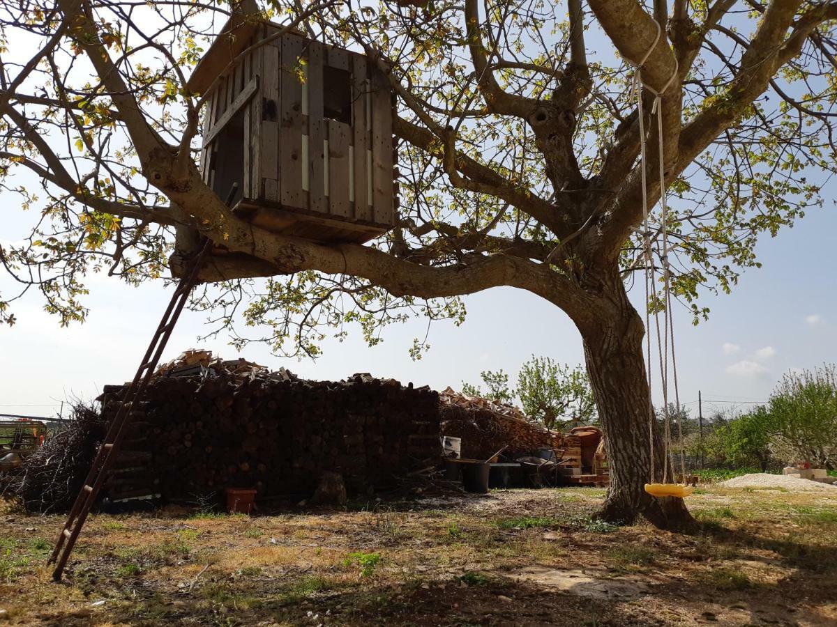 Trullo Della Rosa Villa มาร์ตินาฟรังกา ภายนอก รูปภาพ