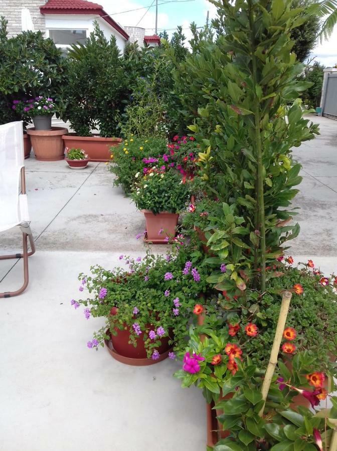 Trullo Della Rosa Villa มาร์ตินาฟรังกา ภายนอก รูปภาพ